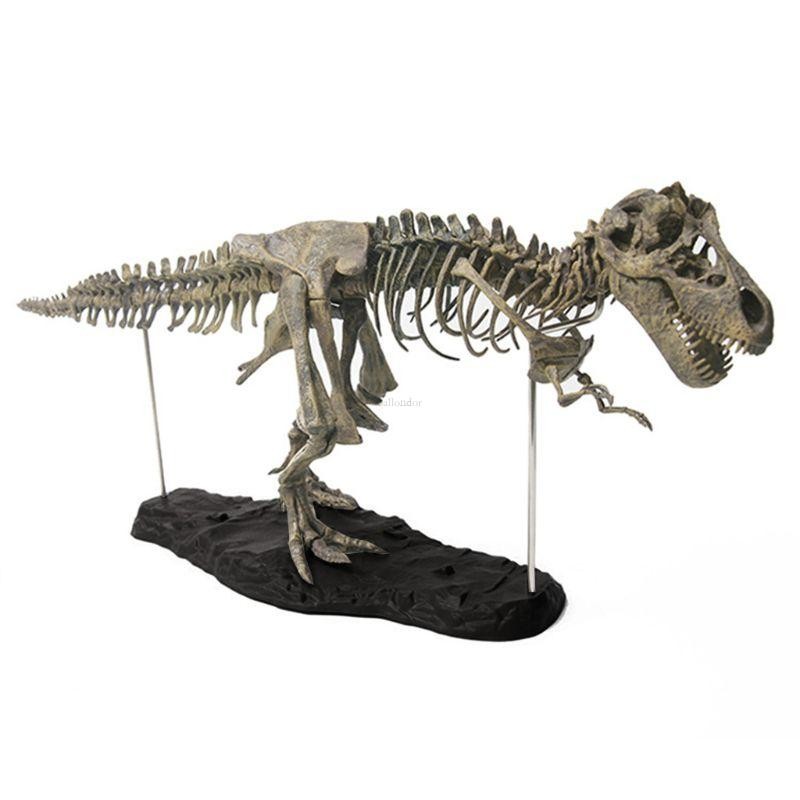 Ba เหมือนจริง Trex รุ่น PVC Fossils ของเล่นแสดงหน้าต่างวัยรุ่นการศึกษาของเล่น