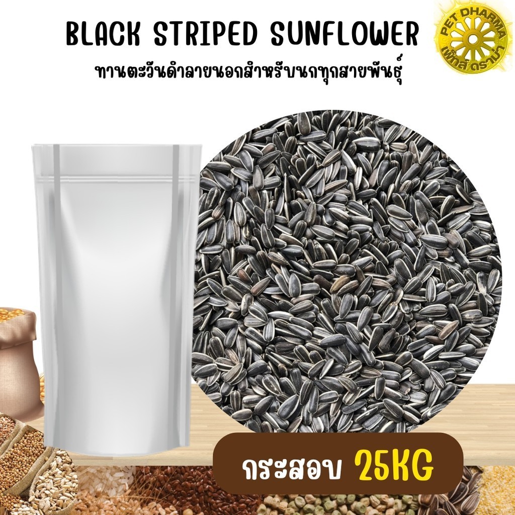 ทานตะวันดำลายนอก อาหารนก และสัตว์ฟันแทะ กระสอบ 25KG