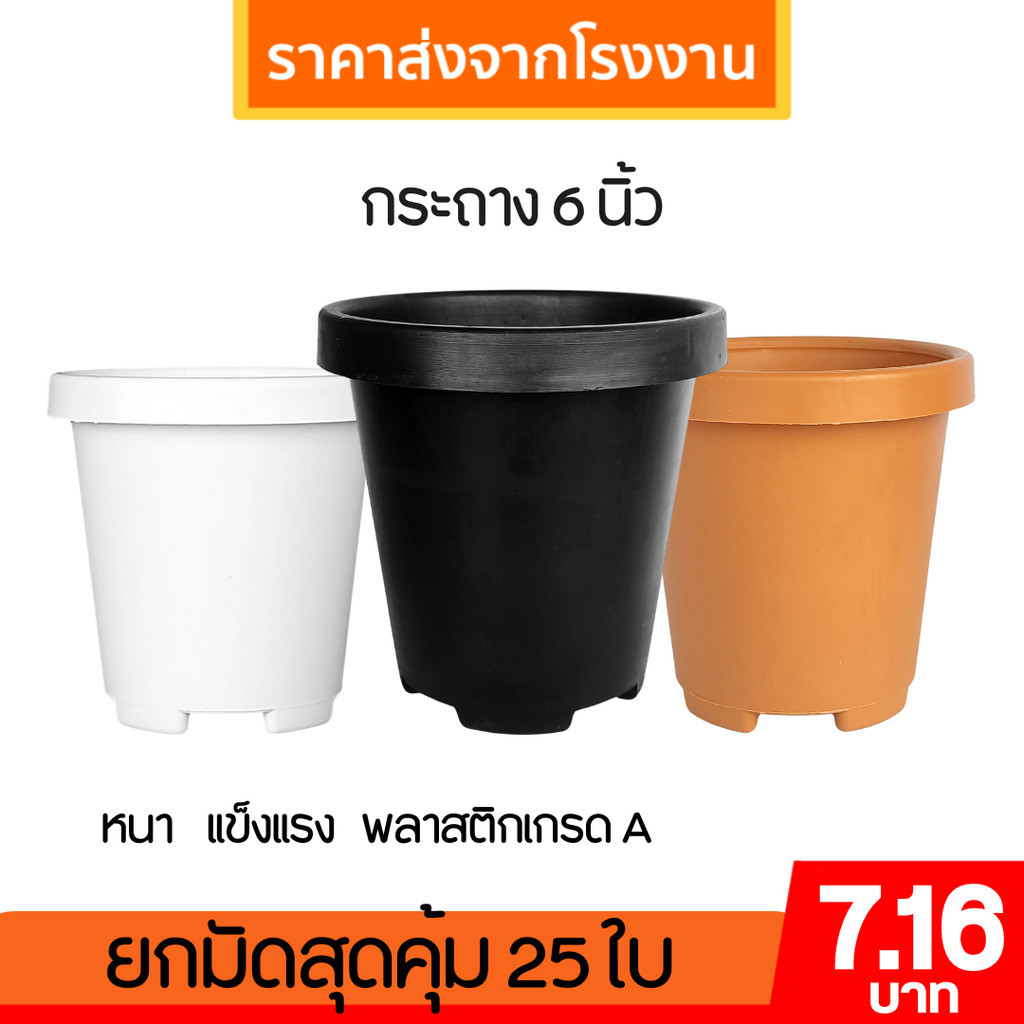 กระถาง แคคตัส ไม้กราฟ ทรงสูง 5 5.7 นิ้ว สีดำ Bundle 50 ใบ