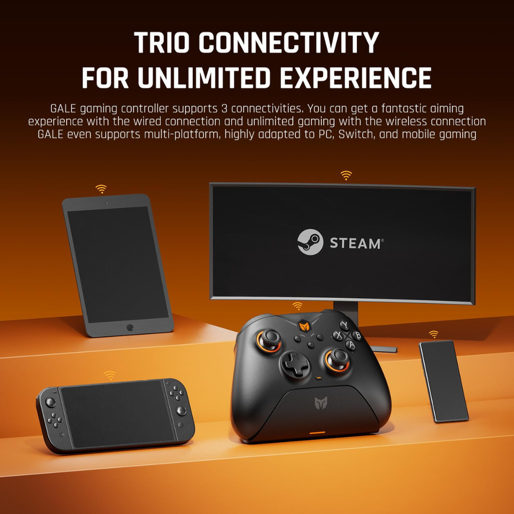 [Tinzshop] BIGBIG WON Gale Hall Wireless Controller For Window /Switch / Android / IOS จอยเล่นได้ทุกเครื่อง
