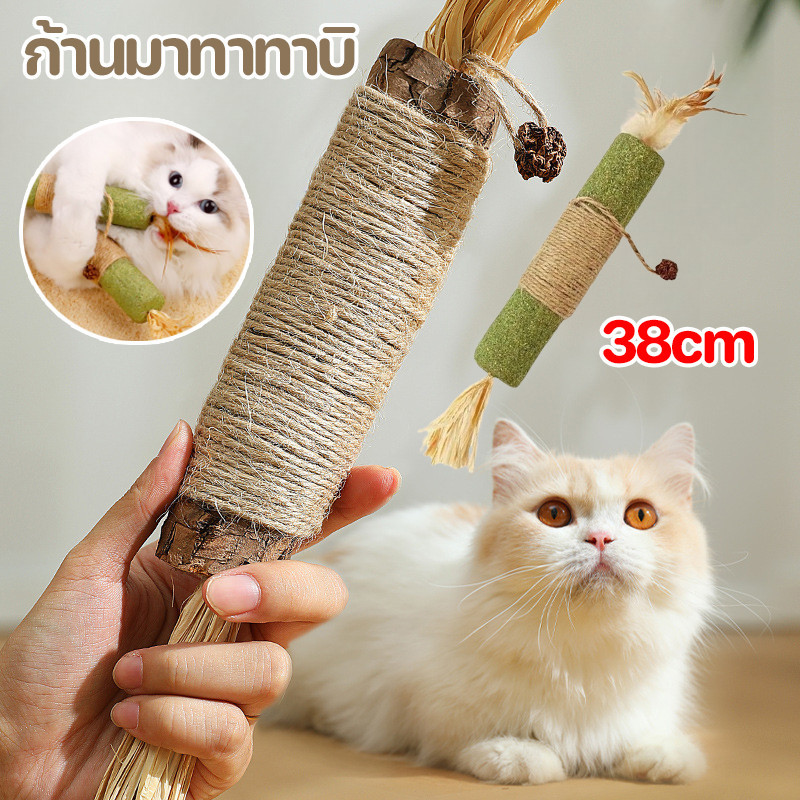 COD  ไม้มาทาทาบิ  (38cm)  ขัดฟันไม้  ก้านมาทาทาบิ  ไม้แปรงฟันแมว ยักษ์ขนาดใหญ่ ตั้งแต่สวัสดีแก้เบื่อ ของเล่นแมว