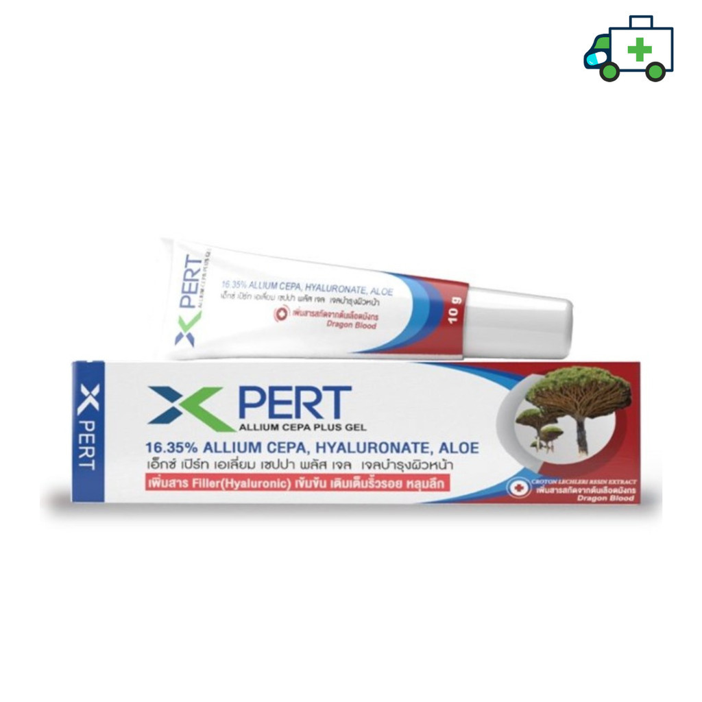 X Pert Allium Cepa Plus Gel เพิ่ม Hyaluronic และ สารสกัดจากต้นเลือดมังกร สูตรอ่อนโยน 10 g.[PLife]