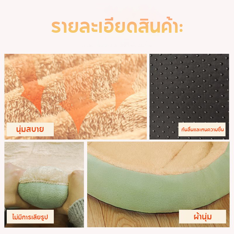 รูปภาพ 5