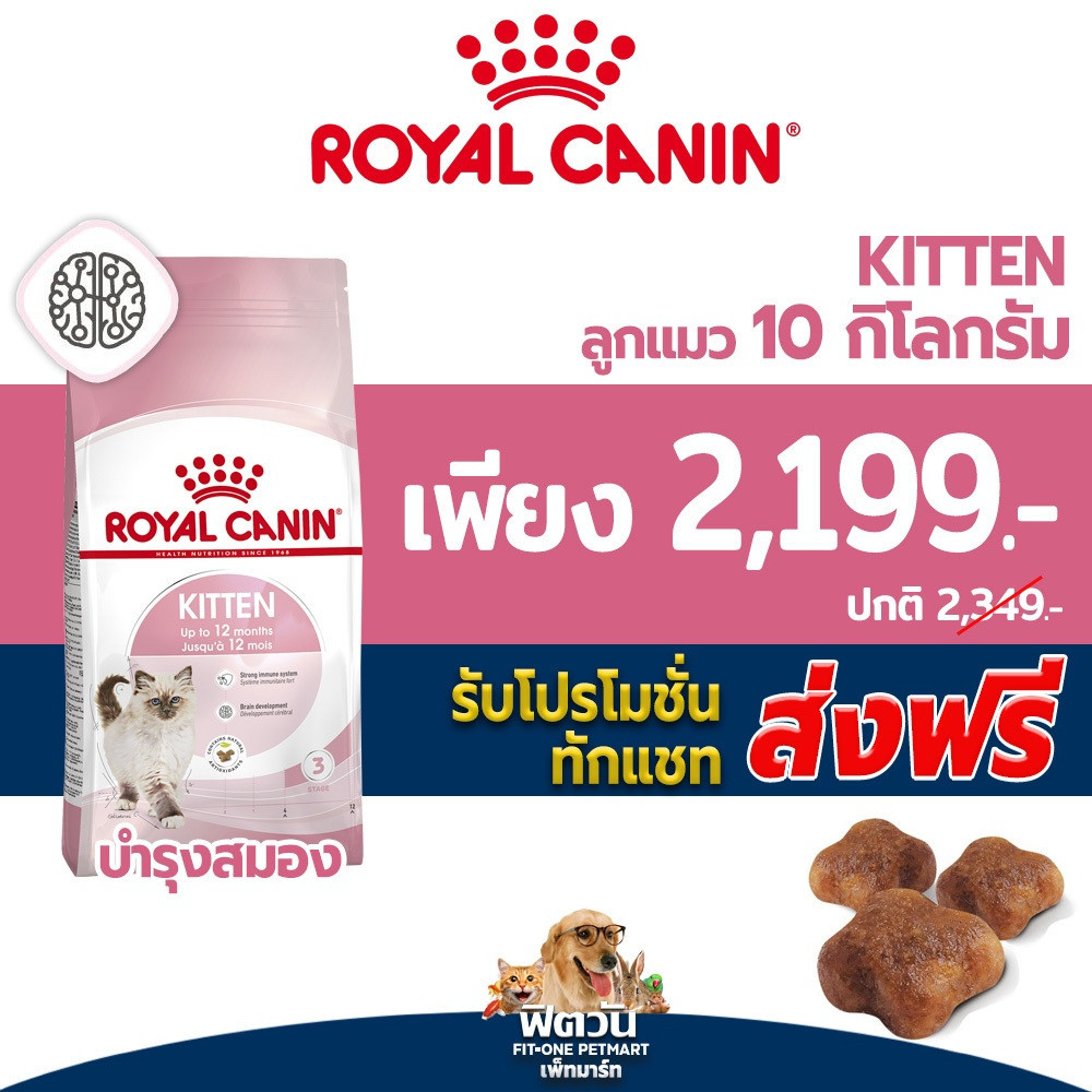 ROYAL CANIN-KITTEN อาหารลูกแมวอายุ 4 ถึง 12 เดือน สูตรช่วยเสริมสร้างภูมิต้านทาน 10 กก.{อาหารแมวเม็ด}