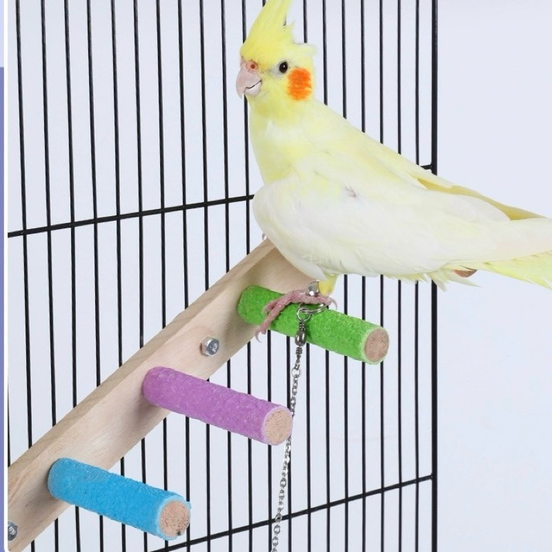 พร้อมส่ง🦜บันไดนกแก้ว 4/6/8ขั้น ของเล่นนก ของเล่นบันไดกรงนก ติดตั้งง่าย บันไดติดข้างกรงสัตว์เลี้ยง