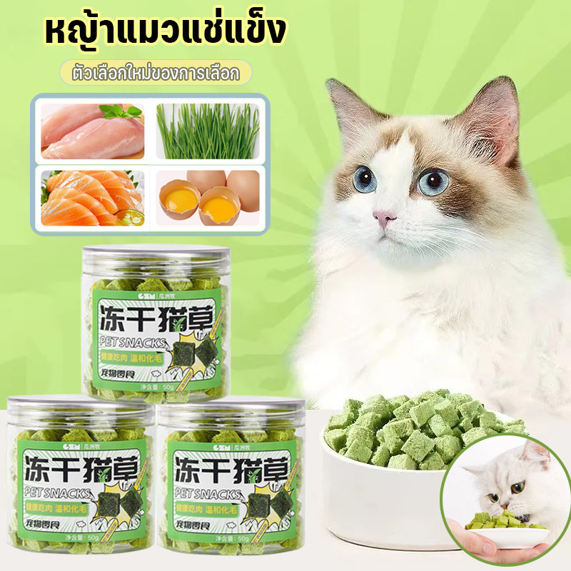 หญ้าแมวฟรีซดราย เม็ดหญ้าแมว ขนมแมวฟรีซดราย ขนมแมว ขนมสัตว์เลี้ยง ฟรีซดราย