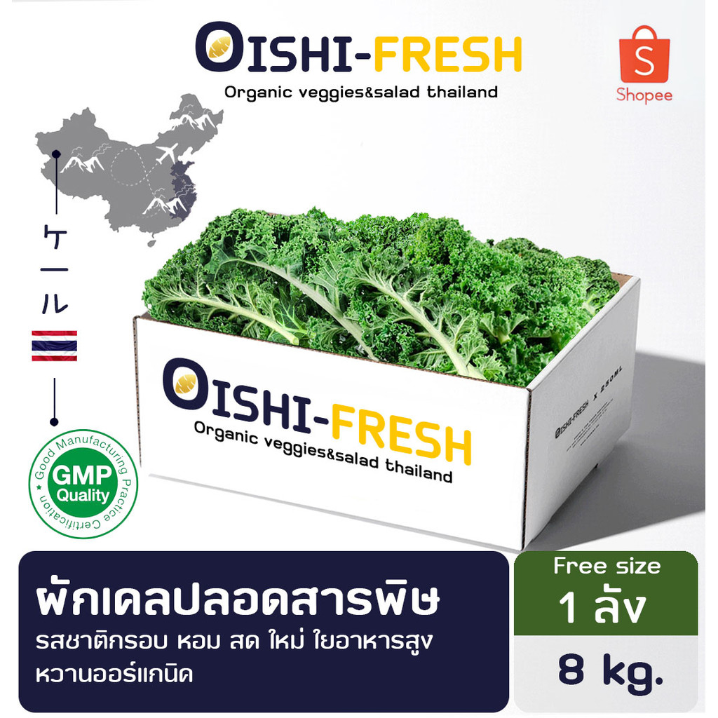 🚨ส่งด่วน🥢ร้านอาหาร🥬ผักเคล ปลอดสารพิษ 10 กก. ผักร้านอาหาร ผักยกลัง ผักราคาส่ง ผักชาบู ผักโรงแรม ส่ง 24 ชม.