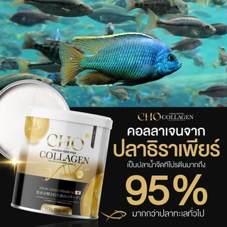 [ร้านบริษัท] Cho Collagen โช คอลลาเจน 1 แถม 1 คอลลาเจนกระดูก คอลลาเจนผิวขาว โชคอลลาเจน
