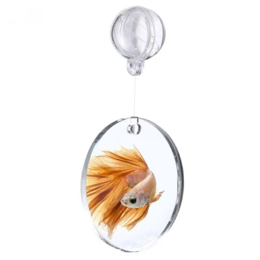 ซูเชนธ กระจกฝึกปลากัด,เครื่องประดับตู้ปลา4/5/6ซมกระจกออกกําลังกายปลา,น้ําพืชภูมิทัศน์อะคริลิสองด้านกระจกฝึกปลาสําหรับตกแต่งตู้ปลา - รูปที่ 4