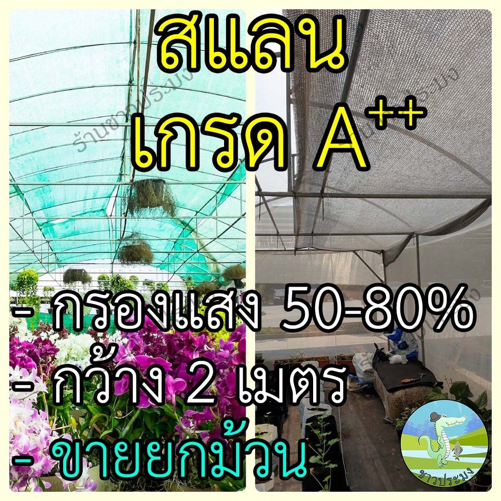 สแลน หน้ากว้าง 2 เมตร กรองแสง 50%,60%,70%,80% ขายยกม้วน 100 เมตรสแลนกันแดด  สแลนพรางแสง สแลนบังแดด