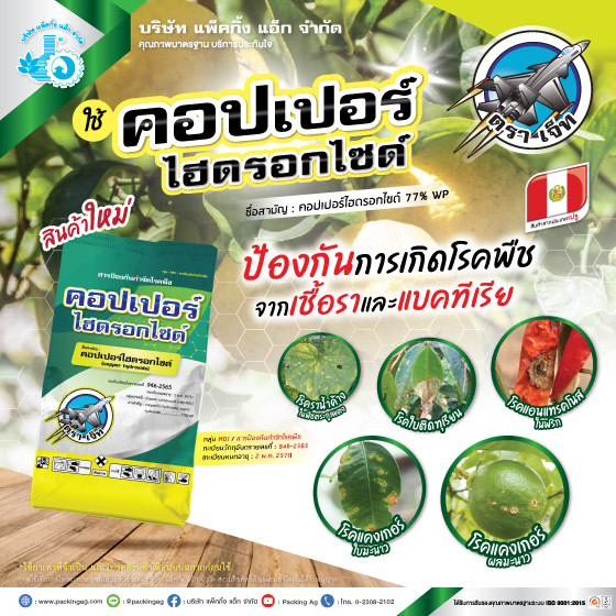 คอปเปอร์ไฮดรอกไซด์ เขียว 1Kg ป้องกันกำจัด เชื้อรา ใบติด ราสนิมใบจุด ราสีชมพู ใบไหม้ แอนแทรกซ์โนส #่ร้านปุ๋ยดีเด่น