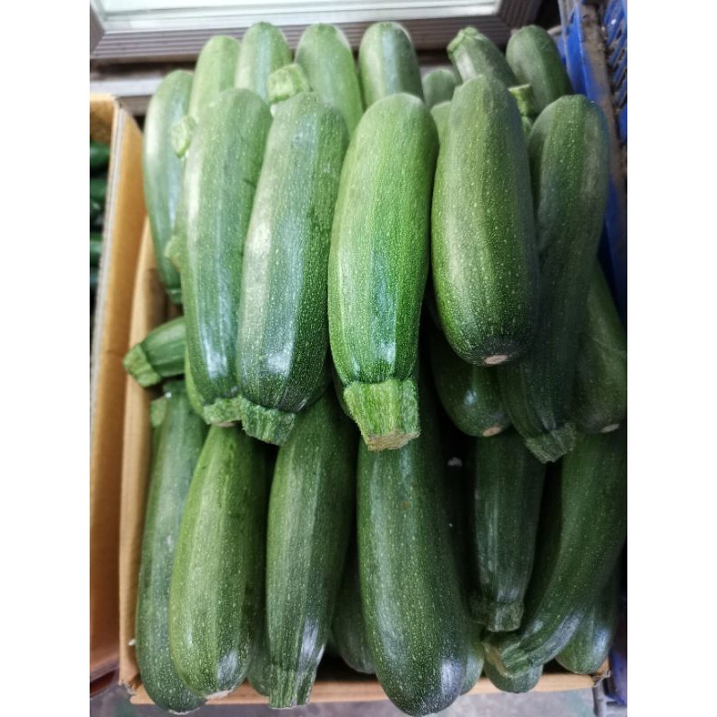 ซูกินี บวบฝรั่ง zucchini สด ใหม่ จาก ฟาร์ม ทุกวัน ราคา ส่ง ถูกที่สุด