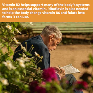 Grevip Vitamin B2 Riboflavin, 400 มก . - รองรับเลือด ระบบประสาท พลังงานและสุขภาพการเผาผลาญ อาหารเสริมรายวันที ่ ไม ่ ใช ่ จีเอ ็ มโอ