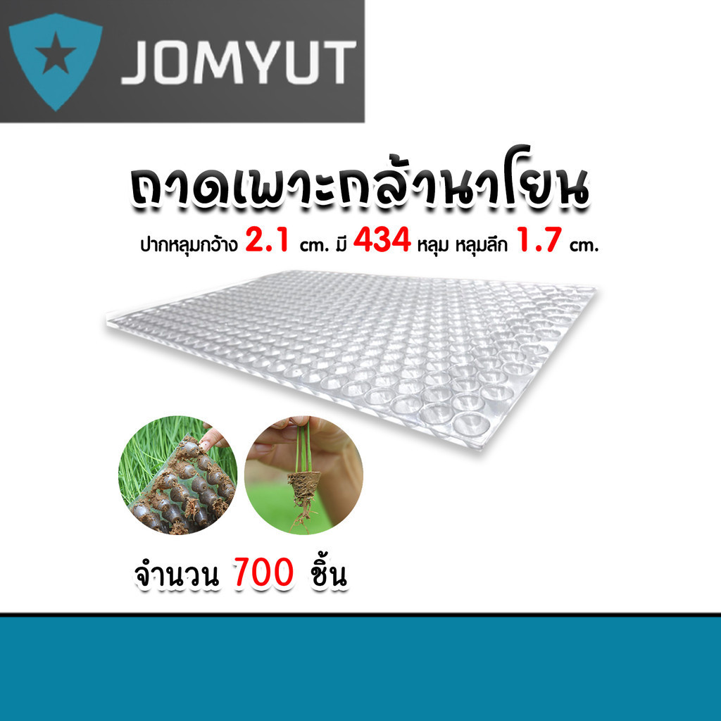 ถาดเพาะกล้านาโยน 434 หลุม แพ็ค 700 ชิ้น  ถาดเพาะต้นข้าว ถาดเพาะนาโยน เพาะกล้าข้าว ถาดนาโยน ถาดเพาะกล
