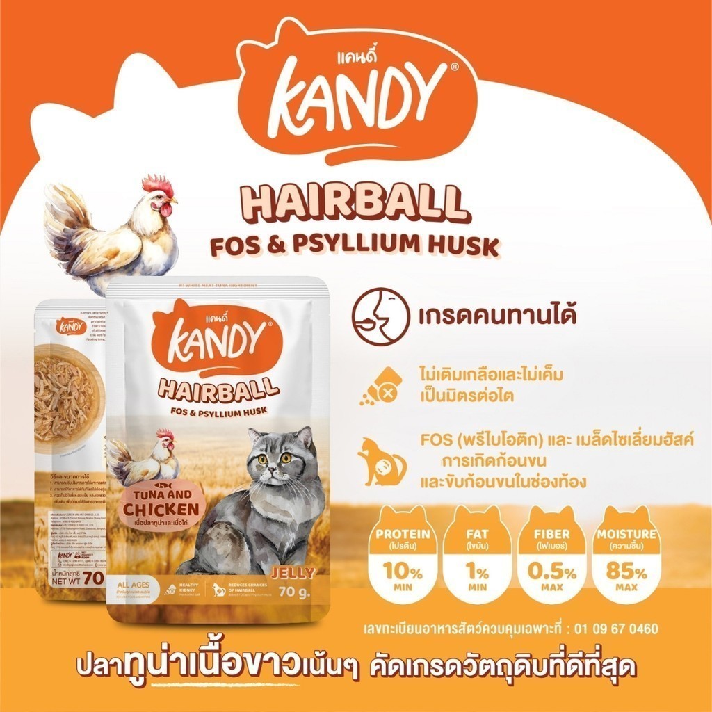 Kandy แคนดี้ [ยกโหล 12 ซอง] อาหารเปียกแมว ไม่ใส่เกลือ ผลิตจากปลาเนื้อขาว ขนาด 70 กรัม - รูปที่ 4