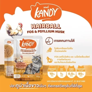 Kandy แคนดี้ [ยกโหล 12 ซอง] อาหารเปียกแมว ไม่ใส่เกลือ ผลิตจากปลาเนื้อขาว ขนาด 70 กรัม