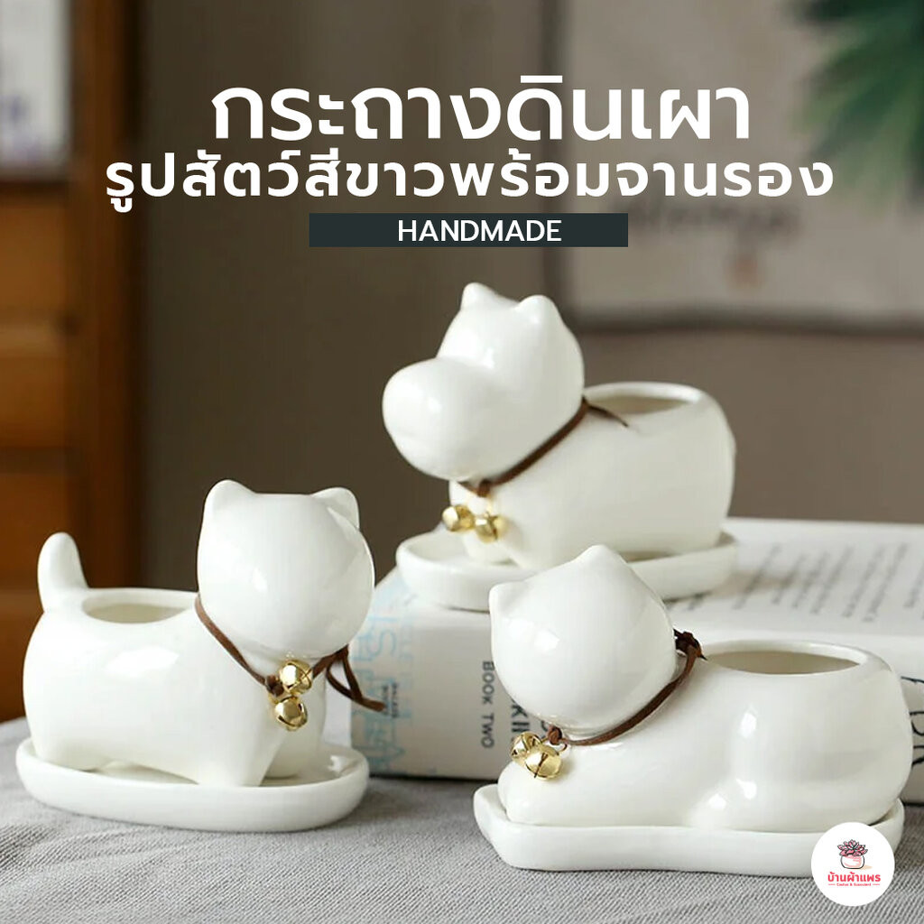 กระถางดินเผา รูปสัตว์สีขาวพร้อมจานรอง กระถางต้นไม้ ไม้อวบน้ำ กุหลาบหิน cactus&succulentหลากหลายสายพันธุ์