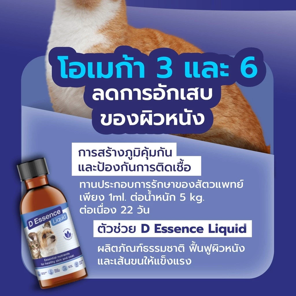 D Essence Liquid น้ำมันบำรุงผิวหนังและเส้นขน อร่อย ชนิดน้ำ แถมทิชชู่เปียกกลิ่น Original 20 แผ่น 1 ห่อ พร้อมส่ง thumbnail 9