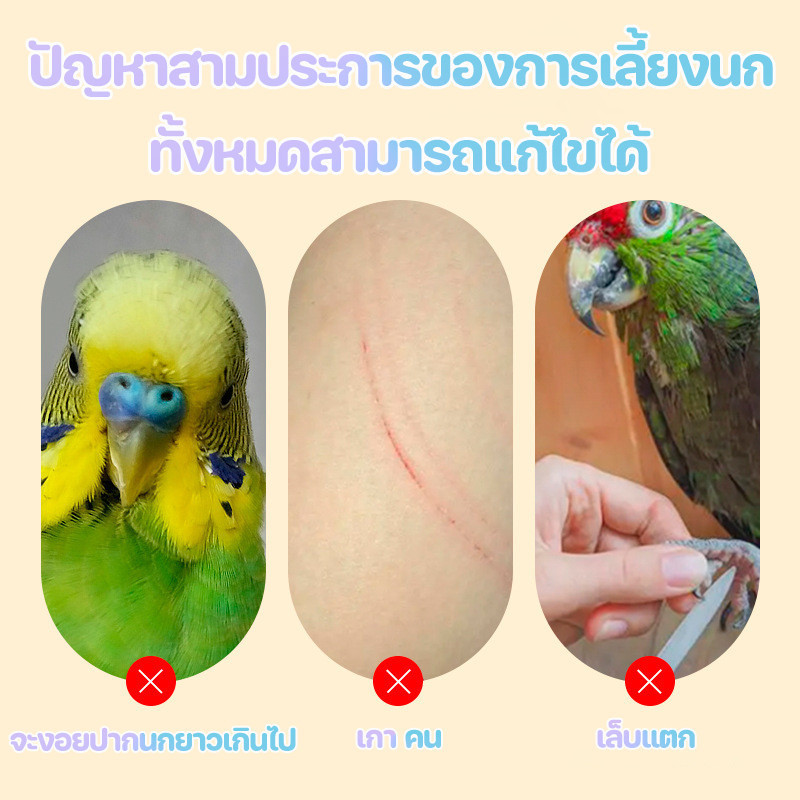 พร้อมส่ง🦜บันไดนกแก้ว 4/6/8ขั้น ของเล่นนก ของเล่นบันไดกรงนก ติดตั้งง่าย บันไดติดข้างกรงสัตว์เลี้ยง