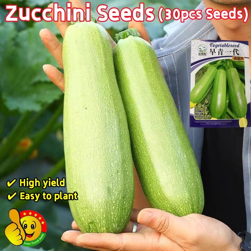 งอกง่าย 30เมล็ด/ซอง เมล็ดพันธุ์ น้ำเต้า High Yield Bottle Gourd Seeds Zucchini Seeds Organic Vegetab