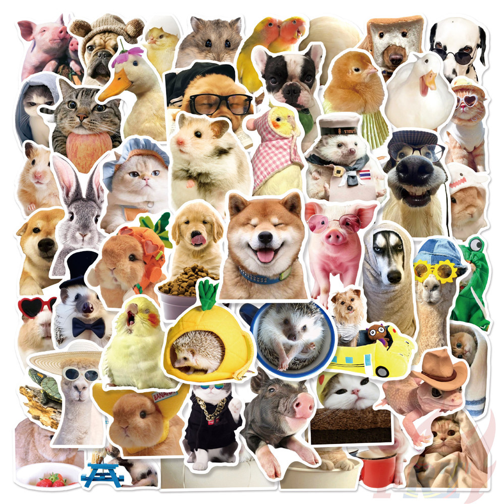 Q Funny Pets Series 01 สติ๊กเกอร์ 50 ชิ้น/เซ็ต DIY แฟชั่นสติ๊กเกอร์ Doodle กันน้ํา