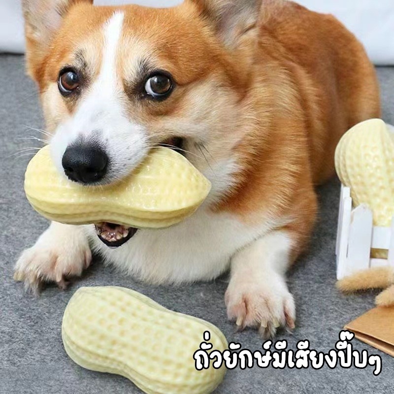KTCAT ของเล่นยางกัดรูปถั่ว🥛🥜 ของเล่นมีเสียงและมีกลิ่นนม ของเล่นสัตว์เลี้ยง บีบแล้วมีเสียง ทนต่อการกัด