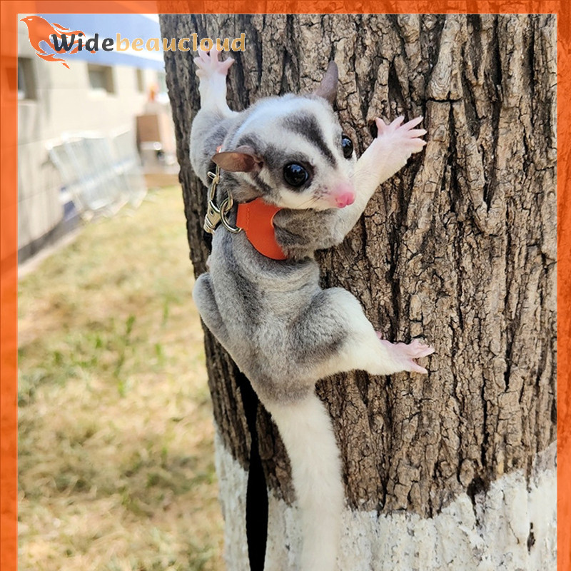 Widebeaucloud 4 ชิ้นสัตว์เลี้ยงขนาดเล็กสายรัดหน้าอกหนูแฮมสเตอร์กระรอก Leash Anti Bite Traction เชือก Sugar Glider Windproof พิเศษ Anti Lost เชือก Nice