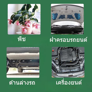 AimayaPet ไม่อนุญาตให้แมวผ่าน กลิ่นไล่แมว ก้อนไล่แมว 5อัน/กล่อง กลิ่นที่ทั้งแมวและสุนัขเกลียด