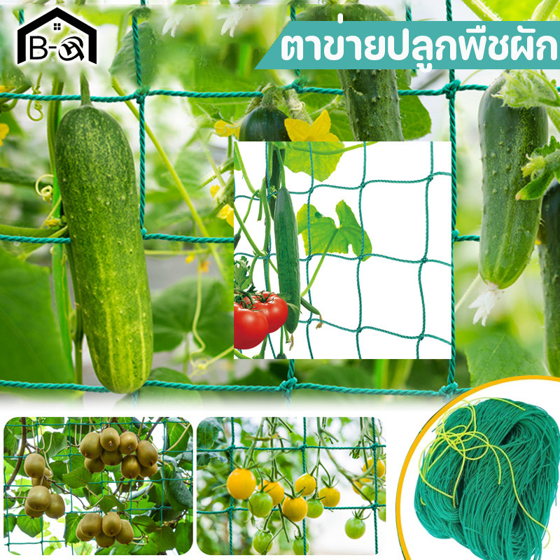 BHQ ตาข่ายปลูกพืชผัก Garden Trellis Netting อวนปลูกผัก คุณภาพดี เน็ตตาข่ายสี่มุม