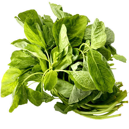 [10แถม1คละได้] เมล็ดพันธุ์ ผักโขมเขียว เมล็ดผักสวนครัว 1000-3000 เมล็ด มีคู่มือปลูก - รูปที่ 3