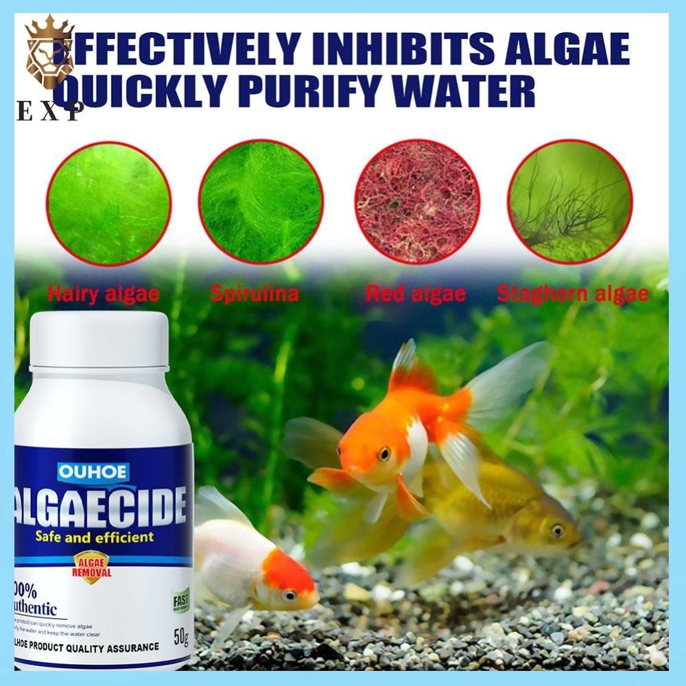 [ ระเบิด1.th ] Aquarium Algaecide Water Algae Control ตู ้ ปลา Moss Remover เครื ่ องมือทําความสะอาด
