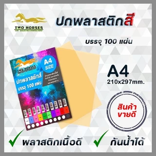 15.15ปกพลาสติกสี แผ่นรองปกสี ขนาด A4 บรรจุ 100 แผ่น 10สี พลาสติกทำปก ปกรายงาน ปกพลาสติกรายงาน สี ใส ใสขุ่น