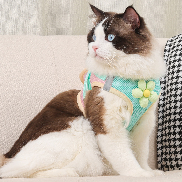 [Muhsinpet] สายรัดหน้าอกแมว Dopamine สายรัดหน้าอกสไตล์เสื้อกั๊ก สายจูงสุนัขแมว/เล็ก