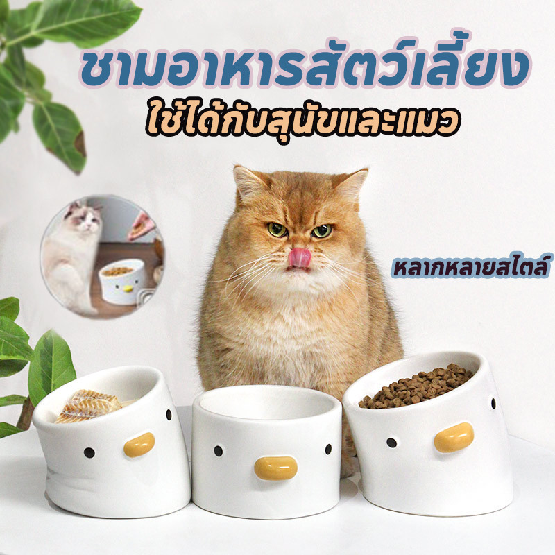 ชามใส่อาหารสัตว์เลี้ยง เซรามิคชามสูงเซรามิกสำหรับสัตว์เลี้ยง ใช้ได้ทั้งแมวและสุนัข การออกแบบที่น่ารัก