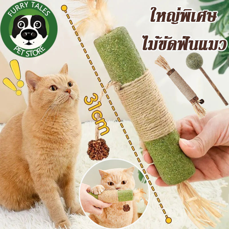 พร้อมส่ง😻(30/21CM) ใหญ่พิเศษ ไม้ขัดฟันแมว ขัดฟันไม้ ไม้มาทาทาบิ ของเล่นแมว กัญชาแมว ลดคราบหินปูน