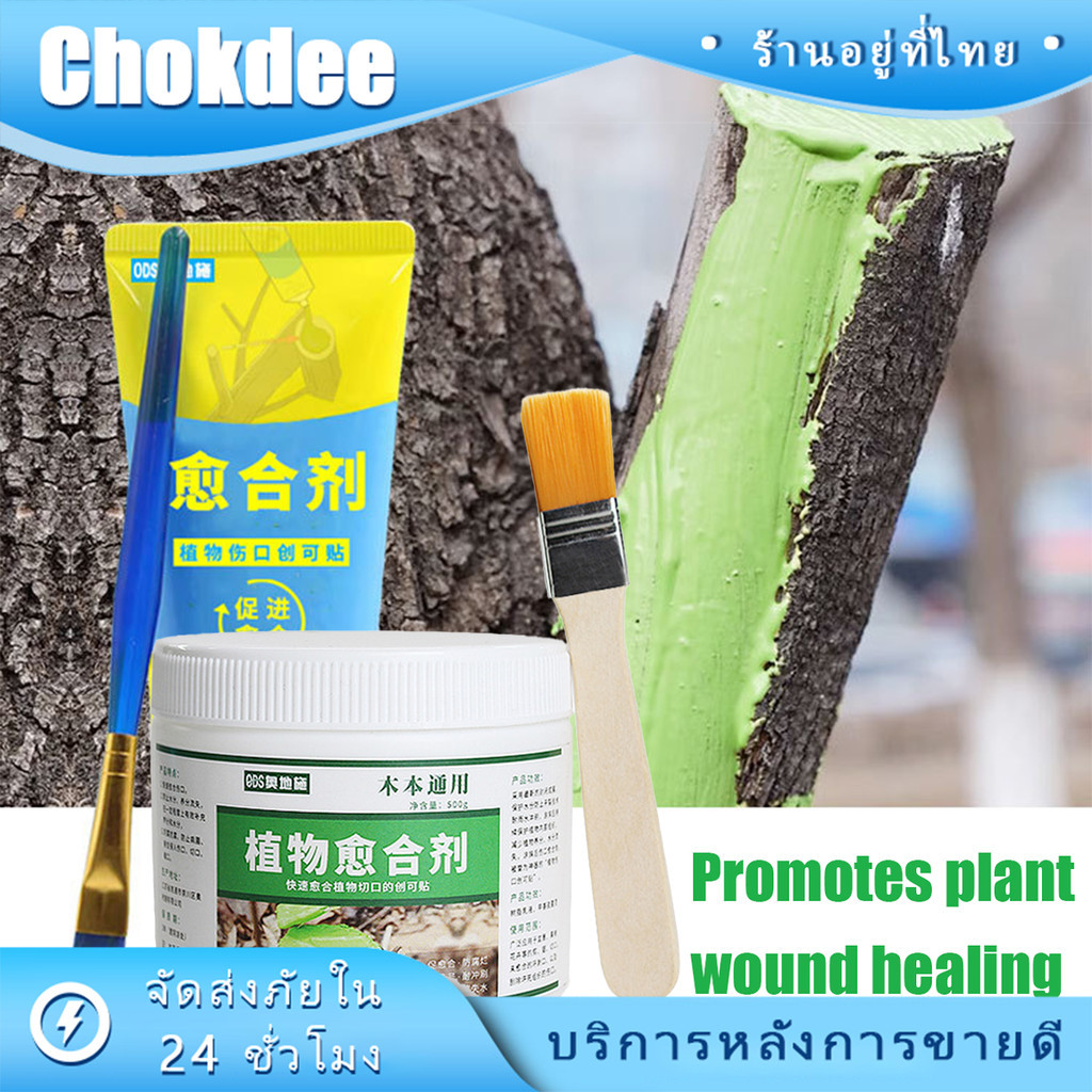 ร้านคนไทย! ยาทาแผลต้นไม้ป้องกันเชื้อรา ขนาด500g ส่งพร้อมแปรง ผสานแผลได้เร็วขึ้น – โปรปัง