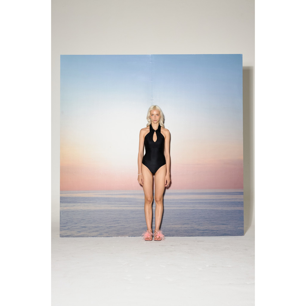 NICHp.CO   :       Chelsea swimsuit.