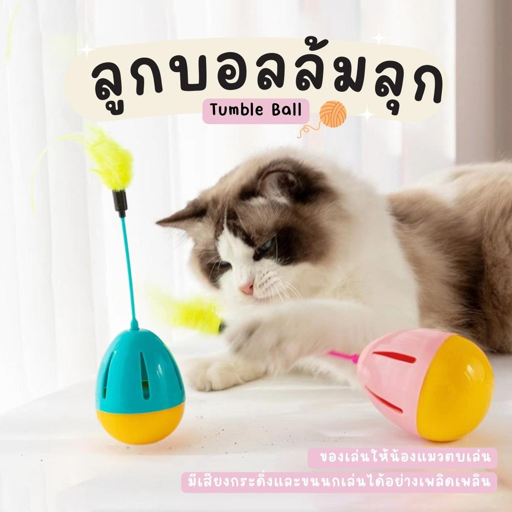 ของเล่นแมว ลูกบอลล้มลุกแมว  บอลล้มลุก ขนนก ของเล่นแมวของเล่นแมวล้มลุก ลูกบอลหนูล้มลุก ลูกบอลขนนกล้มลุก ของเล่นแมว