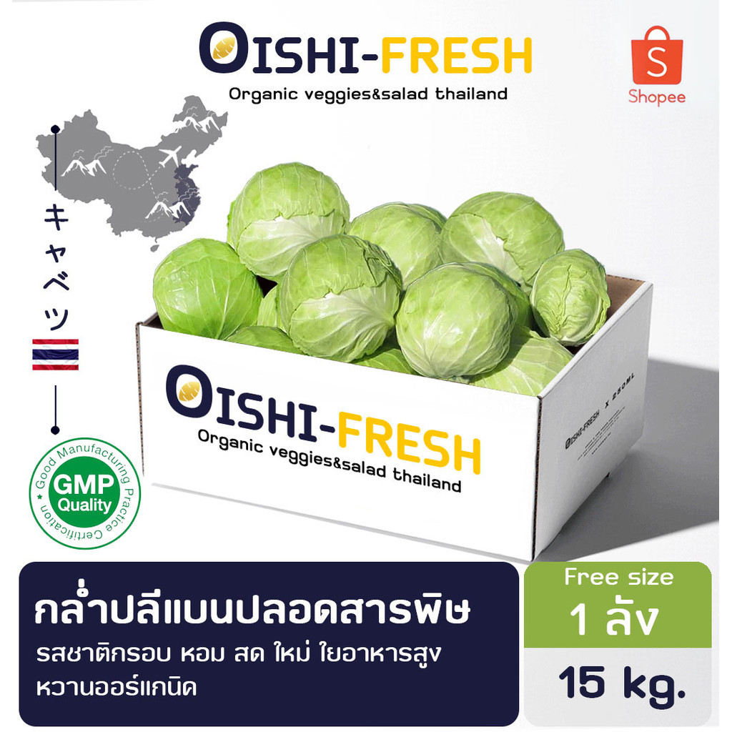 🚨ส่งด่วน🥢ร้านอาหาร🥬กะหล่ำหัวใจ ปลอดสารพิษ 15 กก.ผักร้านอาหาร ผักยกลัง ผักราคาส่ง ผักชาบู ผักโรงแรม ส่ง 24 ชม.