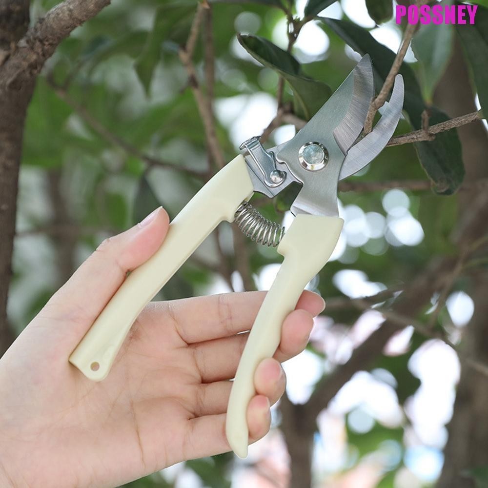 Possney กรรไกรตัดสวนสแตนเลส Home Fruit Tree Pruners