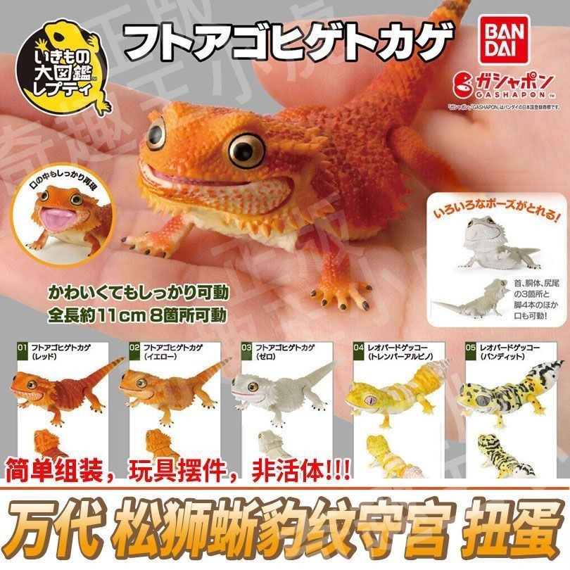 Bandai Chow Lizard Leopard Print Gecko Capsule Toys หนังสือภาพประกอบชีวภาพจําลองของเล่นเคลื่อนย้ายได้