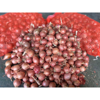 หอมแขกพม่า ยกกระสอบ น้ำหนัก7-8kg.