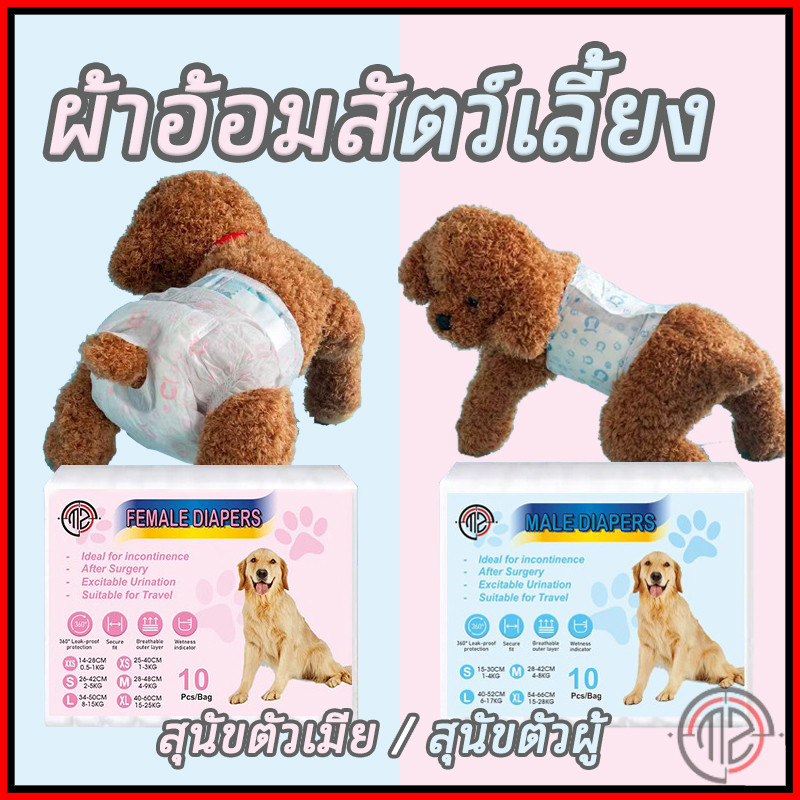 พร้อมส่ง😻ผ้าอ้อมสุนัขเพศผู้ ผ้าอ้อมสัตว์เลี้ยง แพมเพิสสุนัข ตัวเมีย สำหรับสุนัขและแมว ผ้าอ้อมน้องหมา