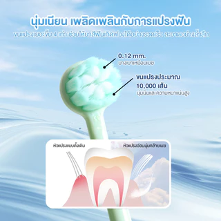 แปรงสีฟัน เซ็ต2 สีพาสเทล สไตล์ญี่ปุ่น สวย น่ารัก น่าใช้ ขนแปรงนุ่มพิเศษ แปรงสะอาด ไม่เจ็บเหงือก ดีไซน์แฟชั่น