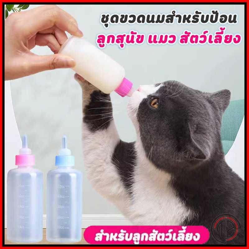 ขวดนมสำหรับลูกแมวและสัตว์เลี้ยง ขวดป้อนนมซิลิโคน ขวดนมแมว 🍼ขวดนมสำหรับป้อนลูกแมว และสุนัข ขวดนมสำหรับสัตว์