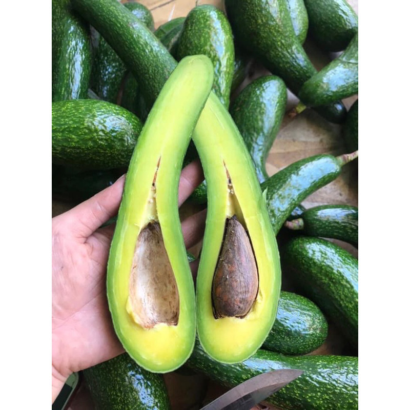 พร้อมส่ง‼️(1KG) อโวคาโด้ แก่จัด avocado แฮส hass TA21 034 แฮส บูท7 บัคคาเนีย สด ใหม่  จาก ฟาร์ม ทุกว
