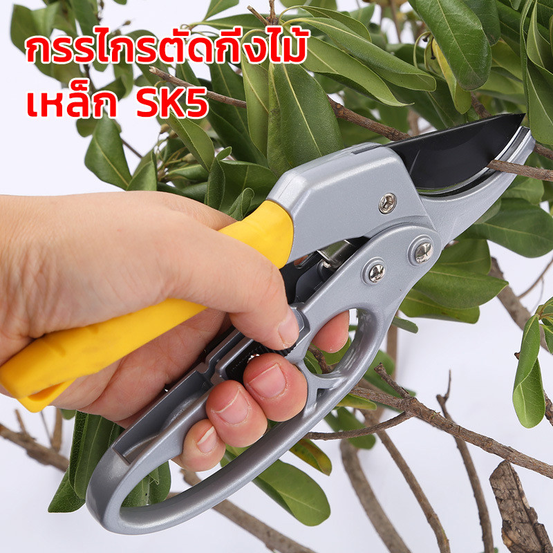 กรรไกรตัดกิ่งไม้SK5 (3 จังหวะ) กรรไกรแต่งกิ่ง กรรไกรสแตนเลส กรรไกรสำหรับตัดแต่งกิ่งไม้ ดอกไม้ เครื่องมือจัดทำสวน