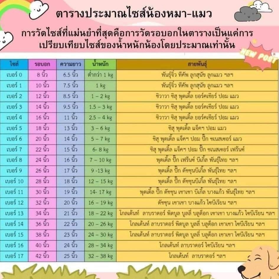 เสื้อแขนกุดลายทีมฟุตบอลยูโร น้องหมาน้องแมว ขนาดรอบอก 10 นิ้วถึง 42 นิ้ว สินค้าพร้อมส่ง - รูปที่ 6
