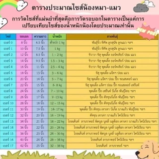 เสื้อแขนกุดลายทีมฟุตบอลยูโร น้องหมาน้องแมว ขนาดรอบอก 10 นิ้วถึง 42 นิ้ว สินค้าพร้อมส่ง