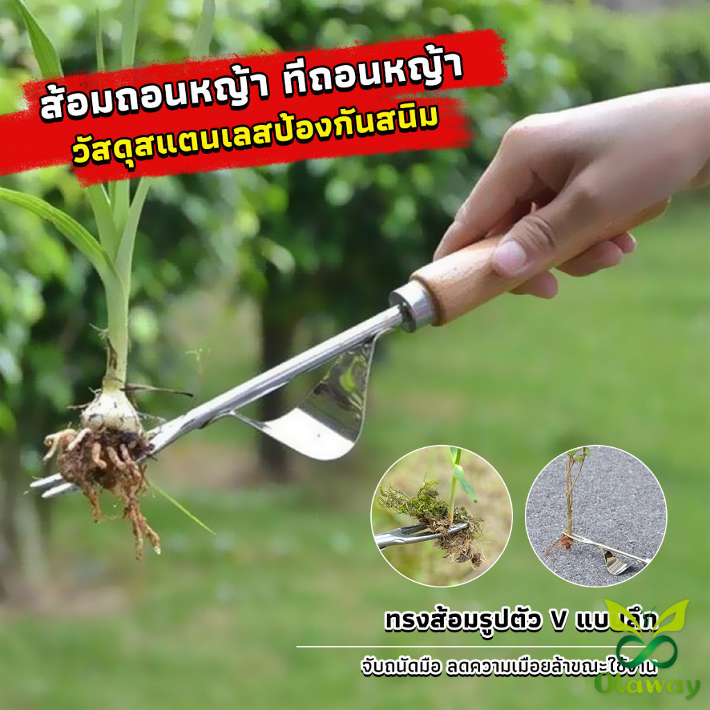 ส้อมถอนหญ้า ที่ขุดหญ้า ถึงราก ถึงโคน วัสดุสแตนเลส ทนทาน Weeding Fork
